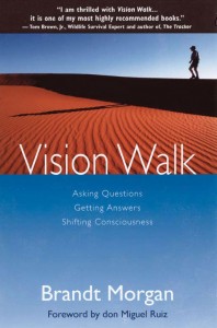 Vision Walk
